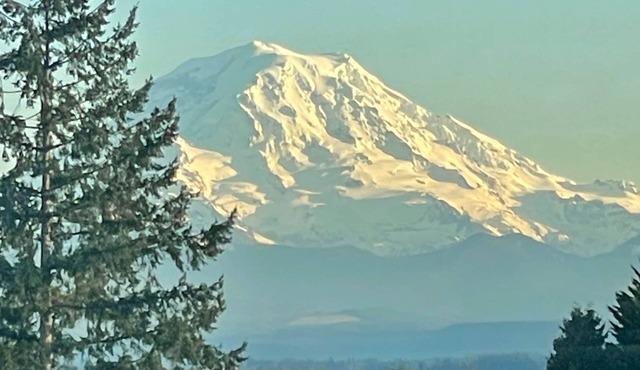 Edgewood Escape | Mt. Rainier View| EV Charger - Central
