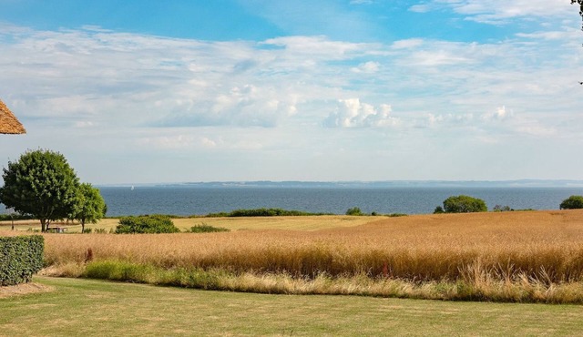 "Edithe" - 250m from the sea by Interhome