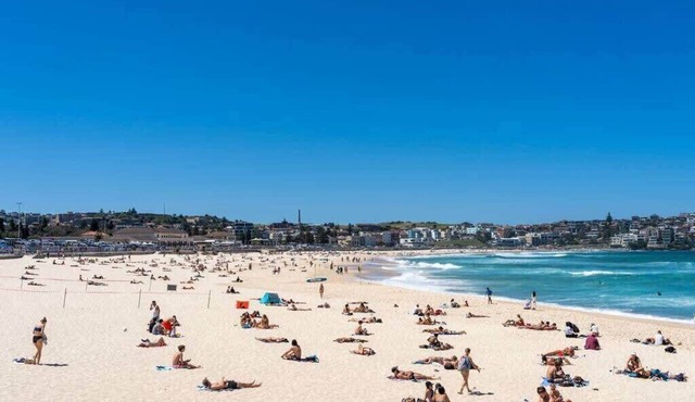 Edward Escape - New Listing | Short Walk to Beach