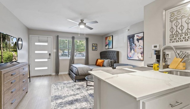 Efficiency Studio Close to Downtown and Domain