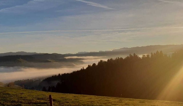 Eggelried wo die Natur zu Hause Ist