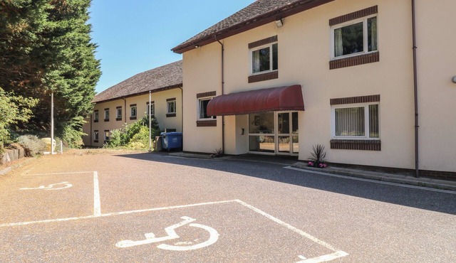 EGRET, pet friendly in Kingsteignton