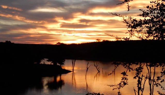 Eildon Parkview Motor Inn Room 11