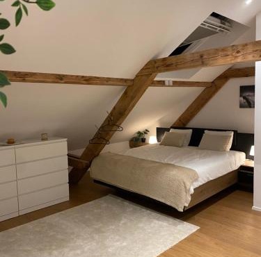 Eine schöne Wohnung an der Birs