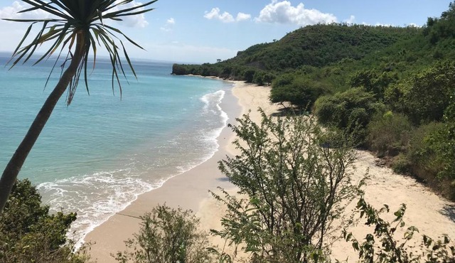 Ekas Surf Resort & Surf Camp