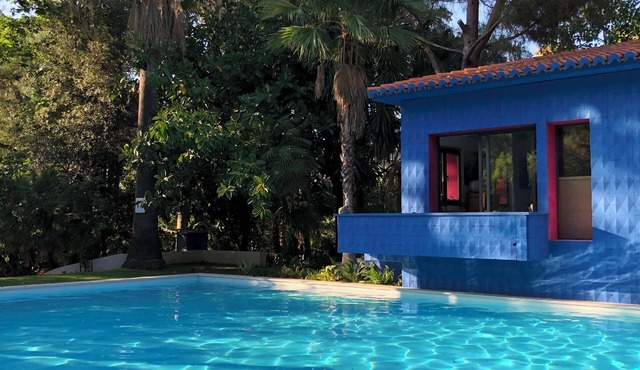 EL BOTANICO DE SAGRA - CASA AZUL PLANTA BAJA