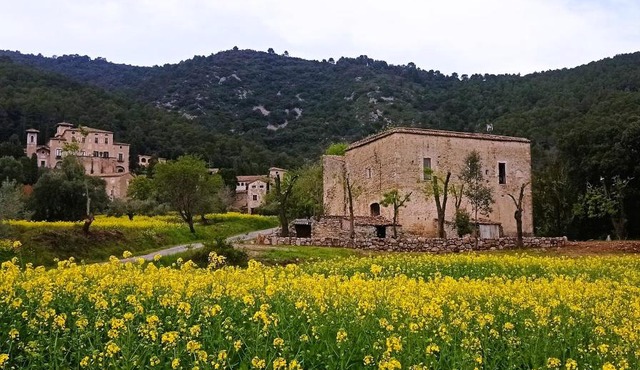 El Castell de Segueró