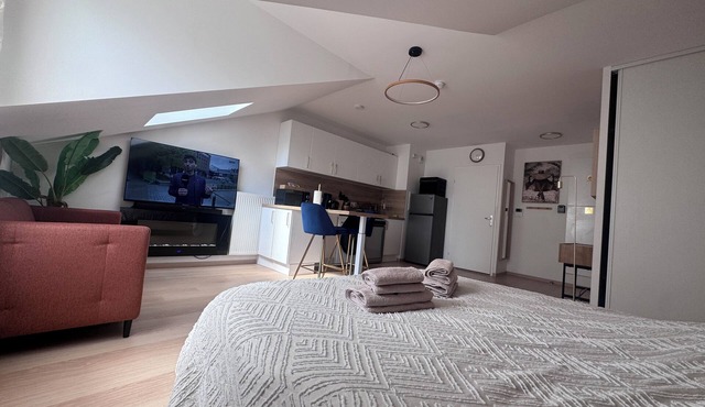 ☀ El Cubanito | Studio 30 m² | Aéroport CDG – Paris ❤