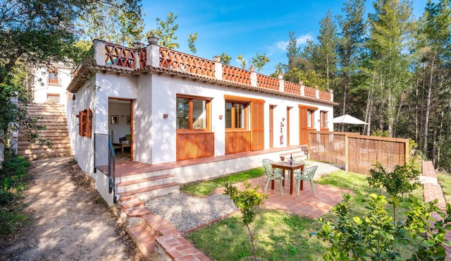 El Ginkgo - Spacious apartment in Masia