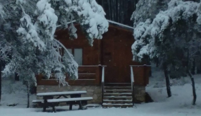 El Llano de los Conejos Cabins - Cabin 2