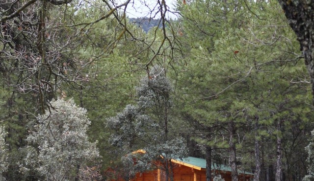 El Llano de los Conejos Cabins - Cabin 10