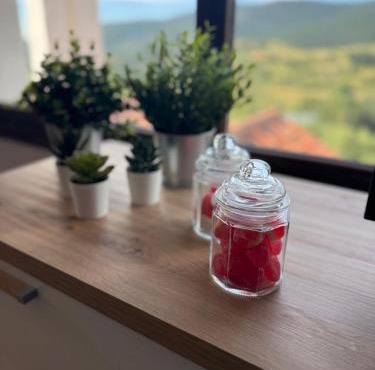 el mirador de ona