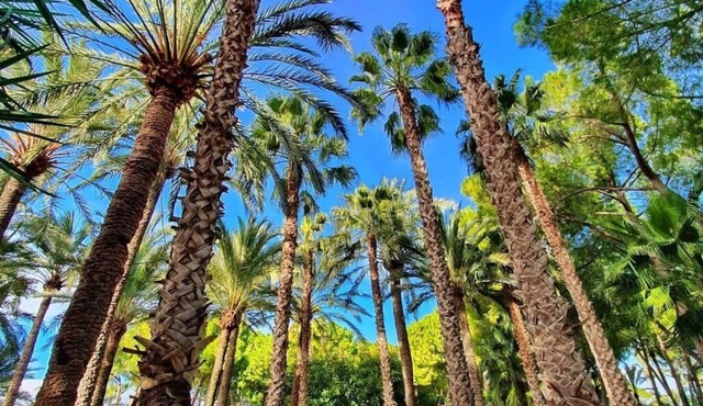 El Oasis