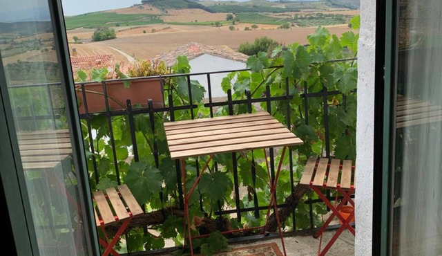 El Olivo de Sansol