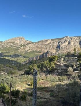 El Olivo