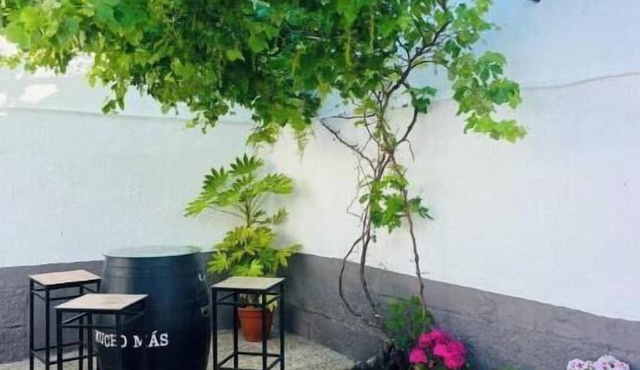 El Patio de Polán House