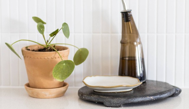 EL Woods - Byron Bay Hinterland