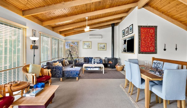 Elandra - Fun For Everyone