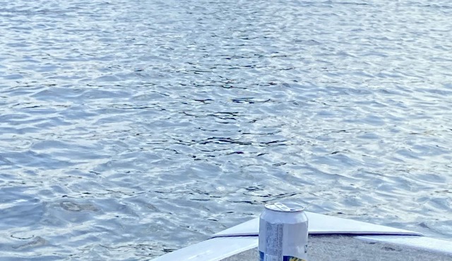 Elbow Lake Cook, MN. Boat to private cabin retreat !