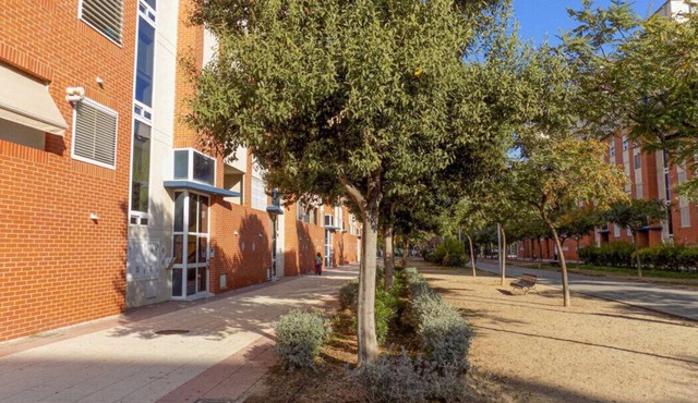 Elcano tourist apartment