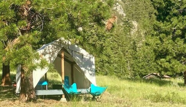 Elderberry tent & Lewis tent