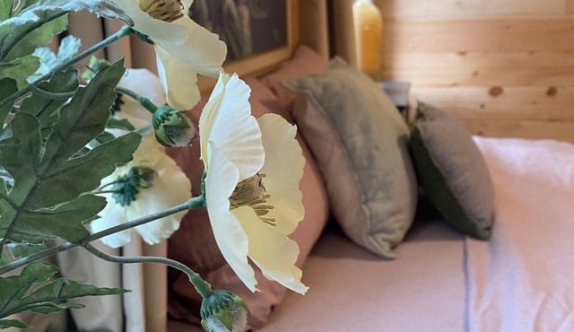 Eleanor - 2 bdr Cabin unit on River w/SUPS, Kayaks, & paddle boat. Pet friendly!