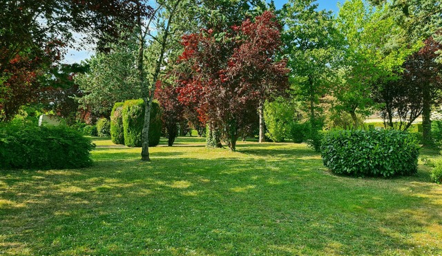 Electrified Camping Pitch