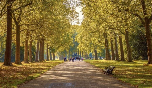 Elegant 1-BR Retreat in Ilford Centren