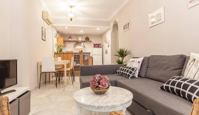 Elegant 2 BR in the heart of Seville.A/C/WIFI AV