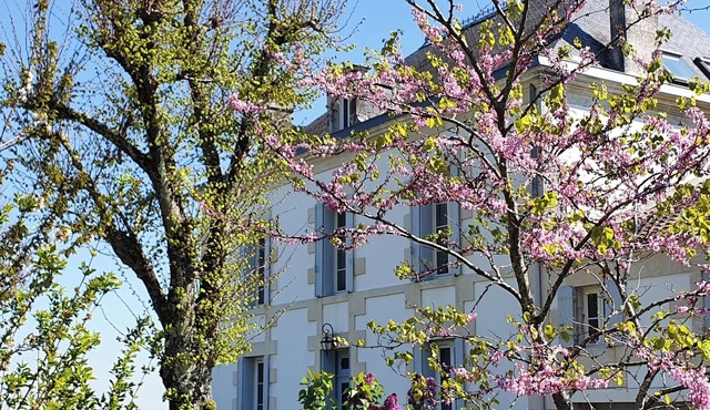 Elegant 4-bedroom Manor house in enchanting Épargnes, Charente Maritime.