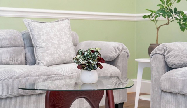 Elegant 5BR House Near Boston/King Beds + 5 Free parking