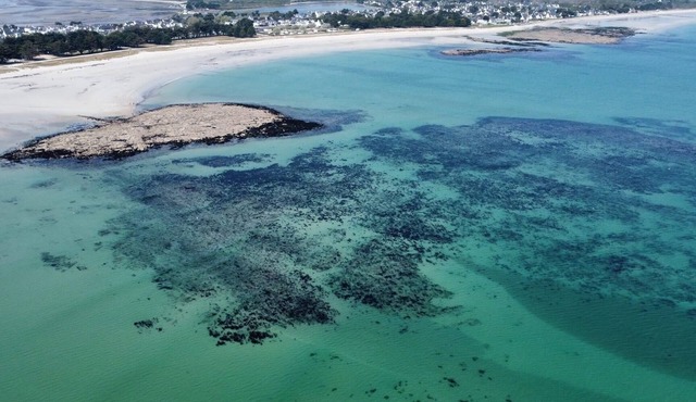 Elegant and cosy 3 star house, walking distance from the Teven beach