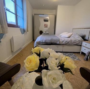 Elegant and cozy city center B&B