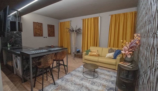 Elegant and luxurious apartment for 6 people, in the heart of Turin