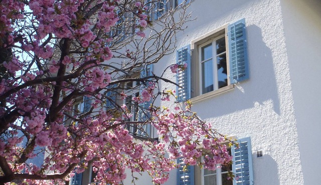 Elegant and spacious 1.5-room apartment (42m2) in an Art Nouveau villa!
