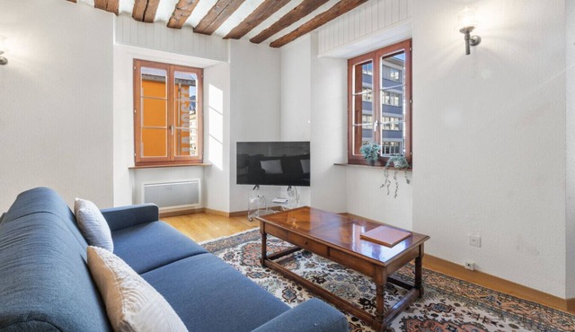 Elegant apartment in the Château des Vidomnes