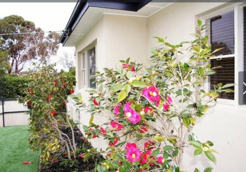 Elegant Balwyn Retreat - Spacious Family Home in Melbourne's Leafy East