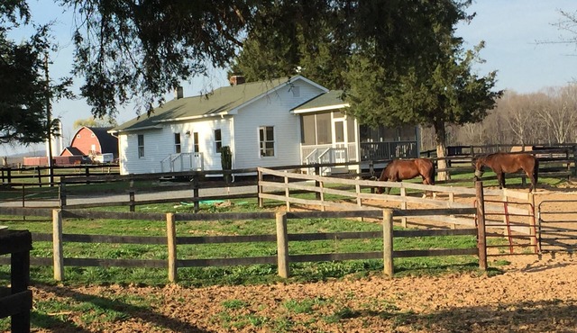 Elegant Cottage on 600 Acre Horse & Livestock Farm