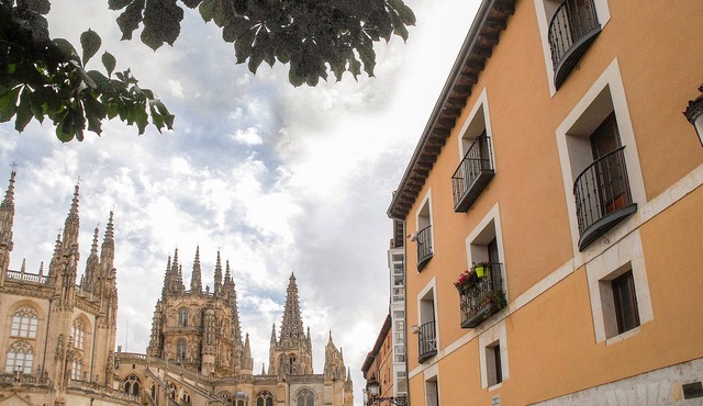 elegant fit. p/4 in Burgos Cathedral w/Wifi