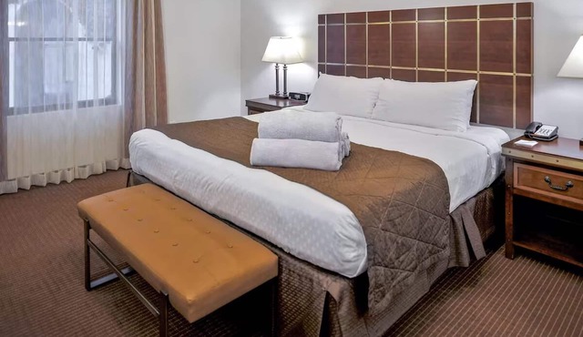 Elegant Hideaway with Contemporary Style & Outdoor Fun l 2 Spacious Suites