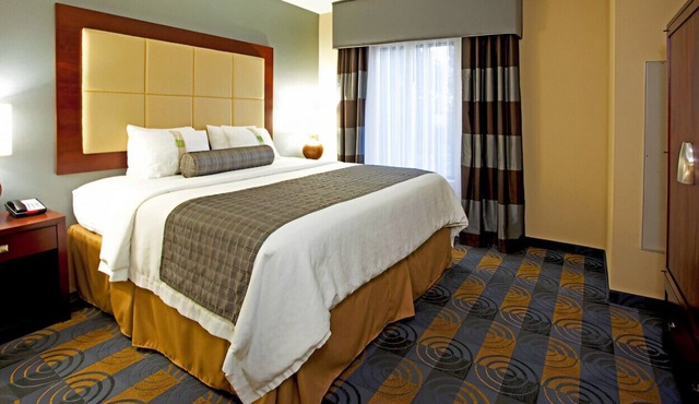 Elegant King Room w/ Comfort & Style