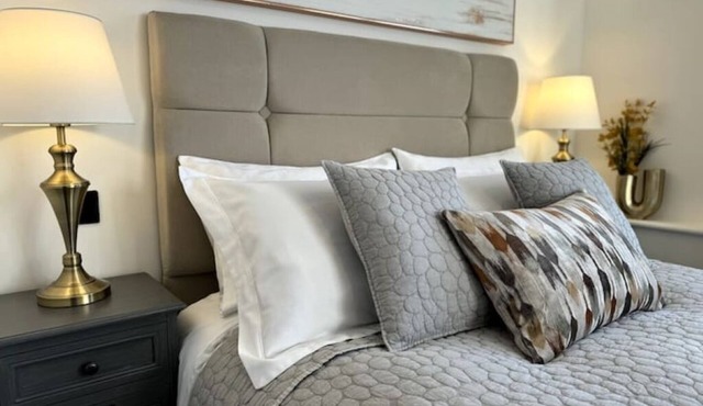 Elegant One Bedroom Apartment