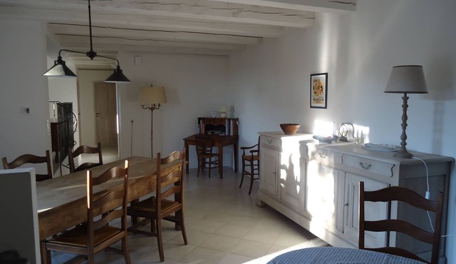 Elegant Provencal house surrounded by vineyards and olive groves.