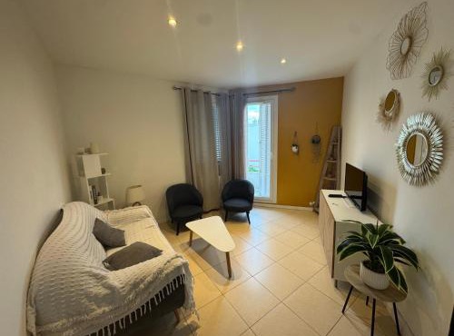 Elegant renovated apartment 2 bedrooms Grenoble