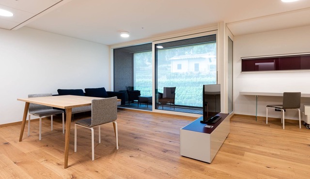 Elegant stylish apartment in a new modern complex.
