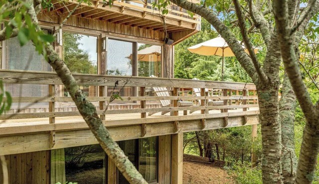 Elegant Treetop Modern Steps from Hay Beach, Heated Gunite Pool