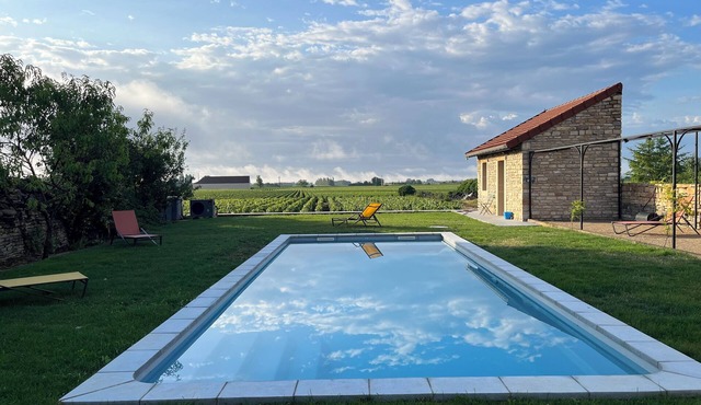 Elegantly renovated residence with garden and pool in famous wine village South