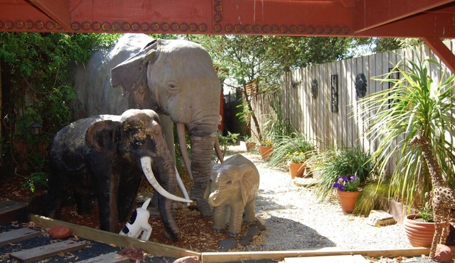 Elephants at Sunset, A unique holiday experience