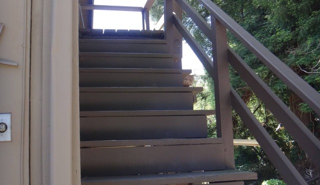 Elevated guest house : observe wildlife & near Zoo too!