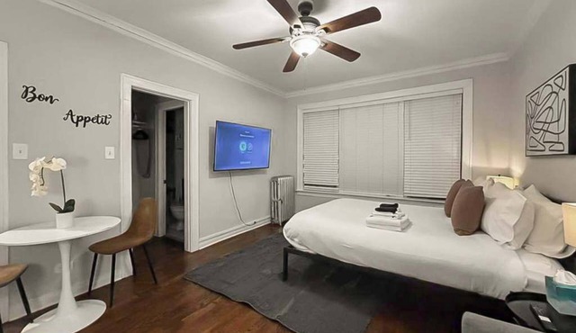 Elevated Hyde Park Studio Unit on Dorchester Ave